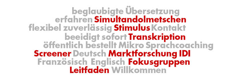 Lisa's Office - Marktforschung